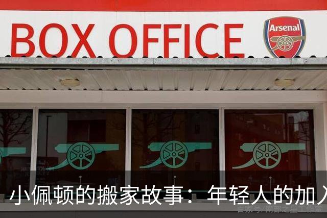 小佩顿的搬家故事：年轻人的加入如同新家具